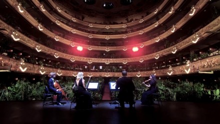 Il Teatro dell'Opera di Barcellona riapre per un pubblico...di piante